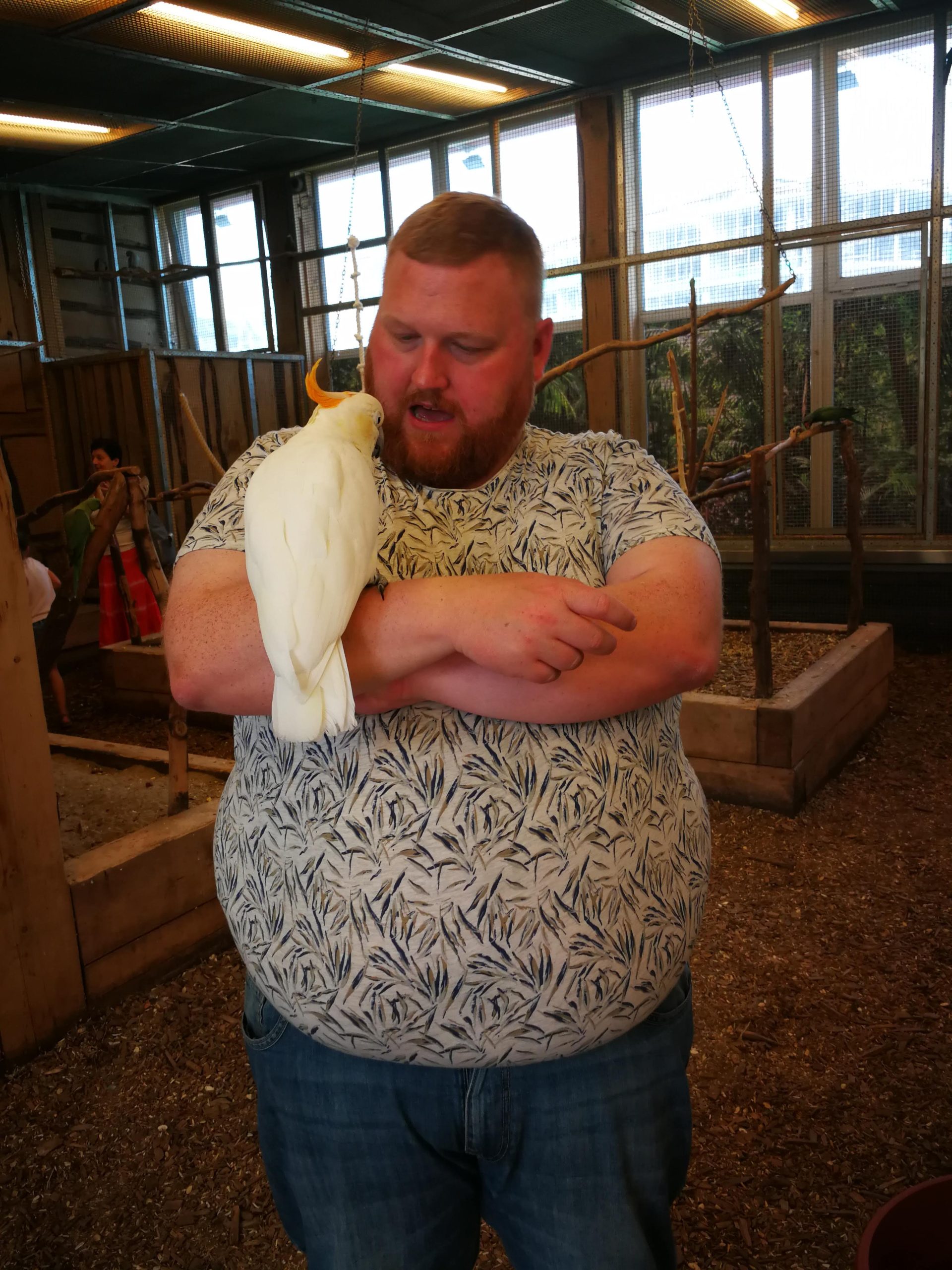 IMG_20180808_125130-scaled IMG_20180808_125130-scaled